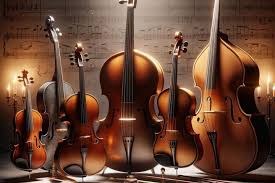 Instrumentos de cuerda frotada