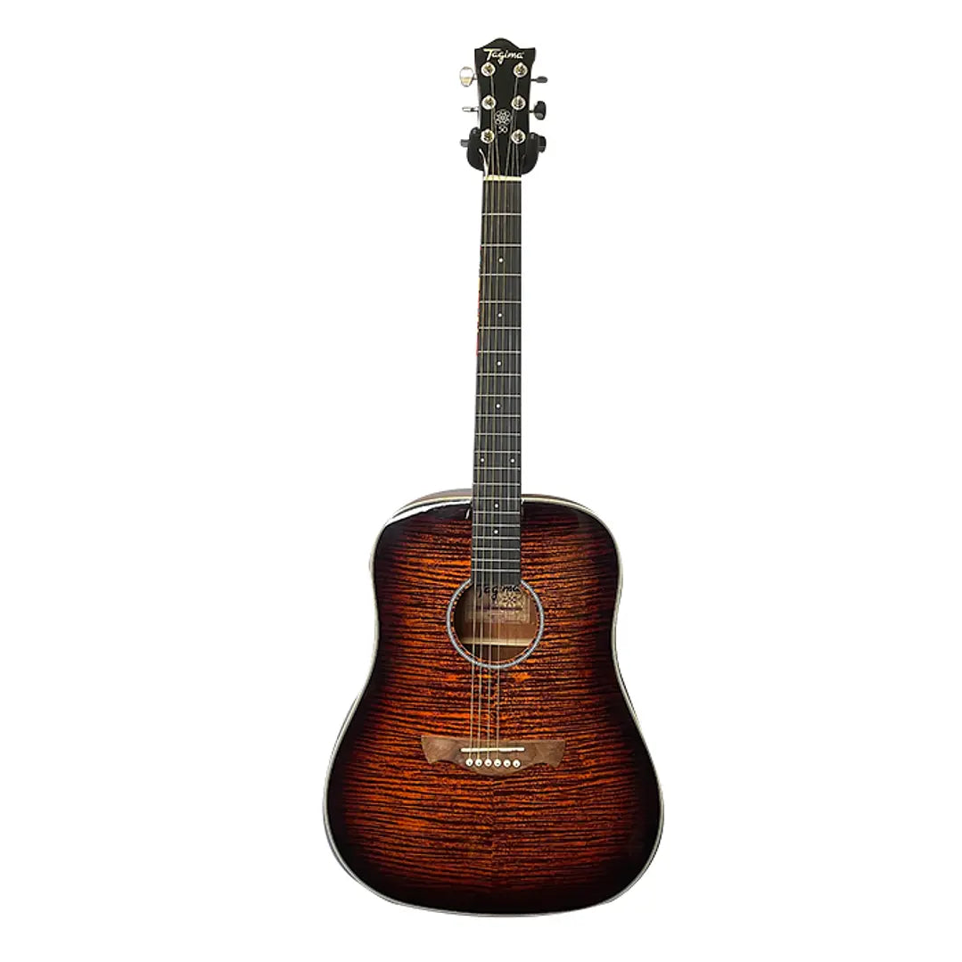 GUITARRA TAGIMA E/A TW-30 TBWF