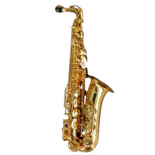 Saxofón Alto estudiante HAS100 – Hoffer