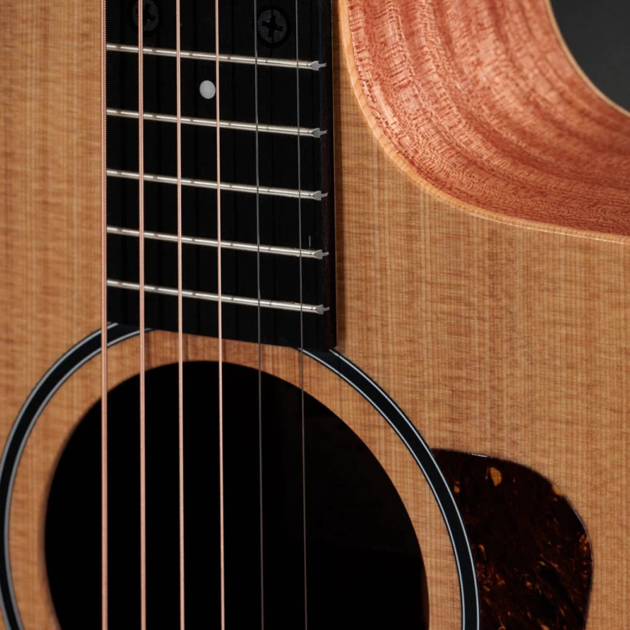 TAYLOR GUITARRA E/A 14CE