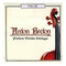 Cuerdas Para Violín 4/4 Anton Breton VNS-150
