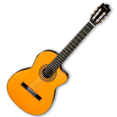 GA6CE AM GUITARRA E/A NYLON IBANEZ