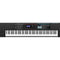 Sintetizador Roland JUNO-DS88