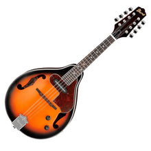 MANDOLINA E/A C/FUNDA M510E IBANEZ