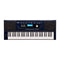 Teclado Arranger Roland E-X30 61 Teclas