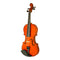Violin 3/4 Cipriani