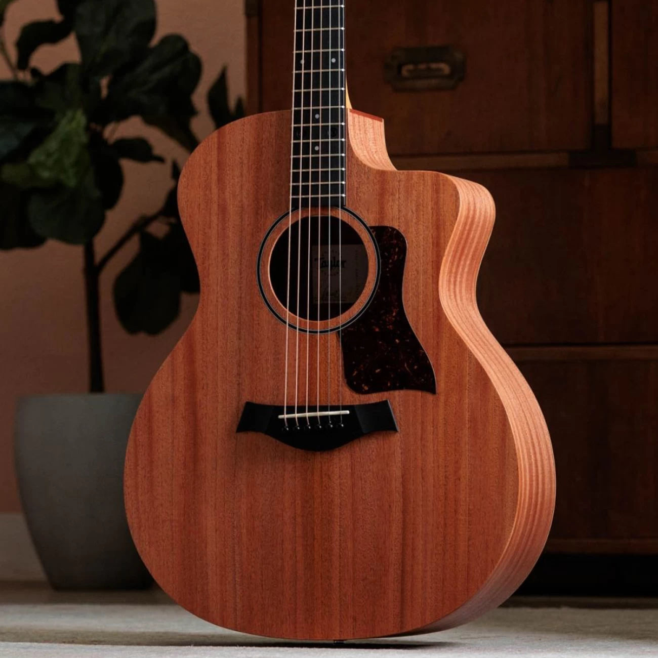 TAYLOR GUITARRA E/A 24CE