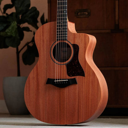 TAYLOR GUITARRA E/A 24CE
