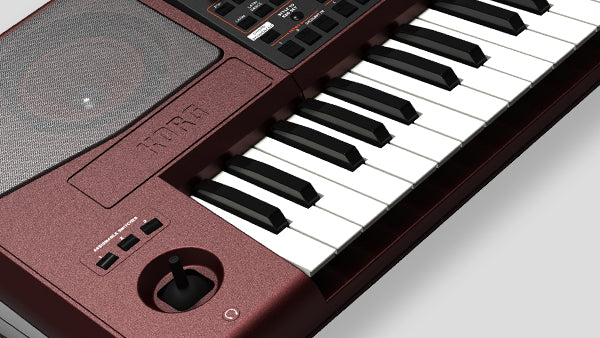 PA1000 ARRANGER KORG