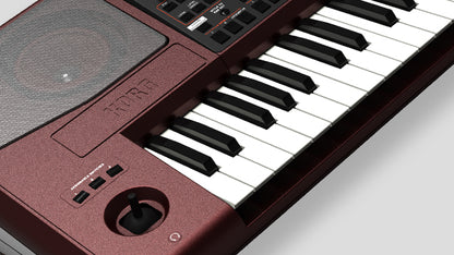 PA1000 ARRANGER KORG