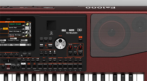 PA1000 ARRANGER KORG