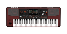 PA1000 ARRANGER KORG