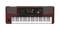 PA1000 ARRANGER KORG