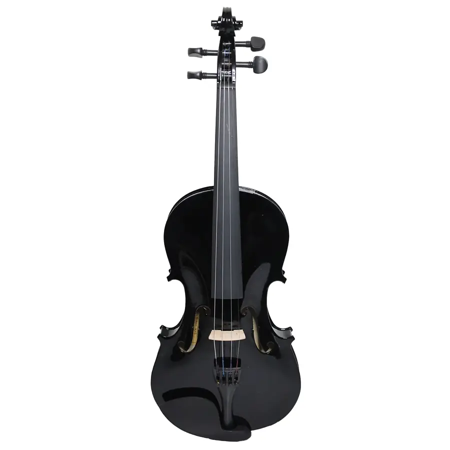Violín Livorno Color Negro 4/4 LIV-20BK