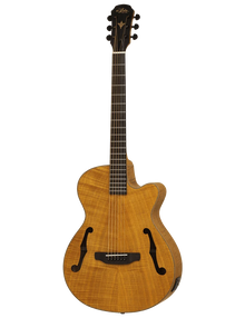 ARIA GUITARRA ELECTROACUSTICA FET-F2 ST BROWN FUNDA A-FET-F2-STBR