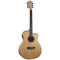 Washburn AG40CE Guitarra Electroacústica