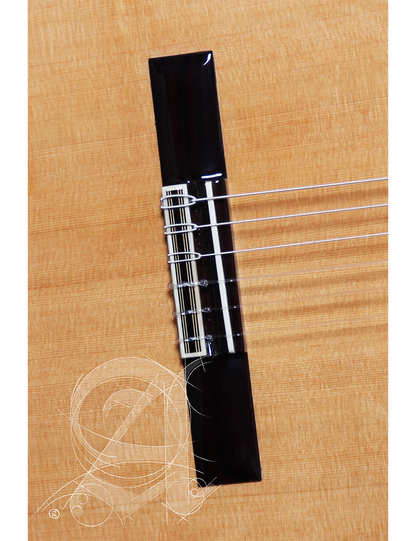 GUITARRA ALHAMBRA CLASICA CONSERVATORIO 7P