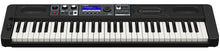 Casio Casiotone CT-S500