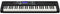 Casio Casiotone CT-S500