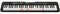 Casio Casiotone LK-S250
