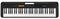 Casio Casiotone CT-S100 61 Notas