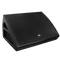 MONITOR DE ESCENARIO ACTIVO SKM-10A MKII