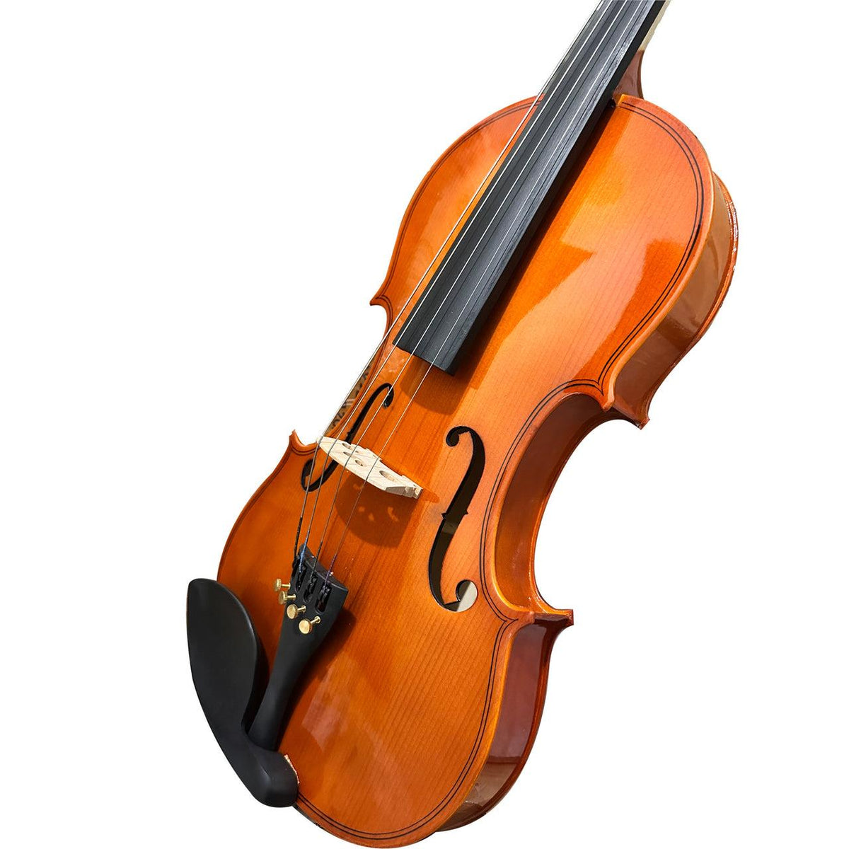 VIOLA CERVINI HVA-100 16"