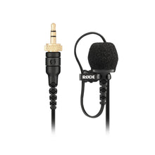 RODE LAVALIER II MICROFONO PREMIUN